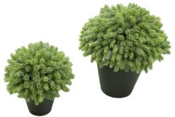 1/2 bola Cactus Piña/Lupulo maceta plastico -Ø30cm