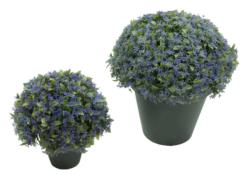 1/2 bola Flor Silvestre L. maceta plastico - Ø25cm