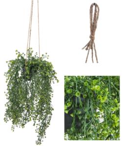 MAC.COLG. PENSTEMON VERDE 60+40 = 100 cms