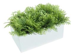B/BL.TUYA PLANA 20x11x17cm.