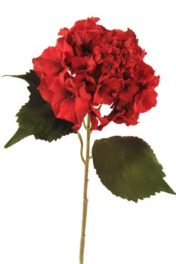 Hortensia Velvet roja - Ø15x67cm