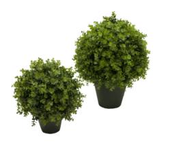 3/4 bola de Eucaliptus con maceta - Ø25cm