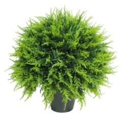 3/4 BOLA CIPRES VERDE Ø25x25cm.
