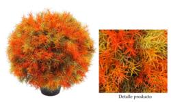 3/4 bola de Springeri Nrja.con maceta - Ø25cm
