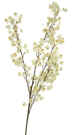Almendro crema - 90cm