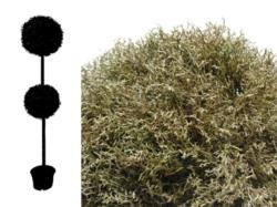 ARB.2BOLAS ALGA VDE.Ø31/35x120cm.