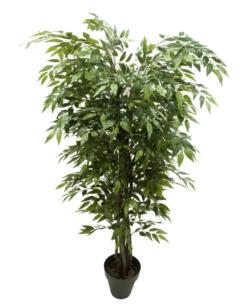 arbol de ficus frances verde Classic - 240cm
