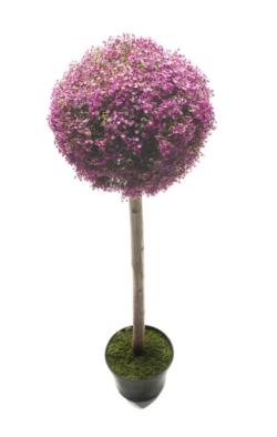 ARB.BOLA GIPSO MORADA1TRØ60x180cm