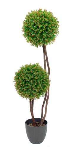 ARB.2BOLAS NERTERA NRJA.Ø25x110cm.