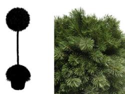 Arbol de pino picea 1+1/2 bolas - 120cm