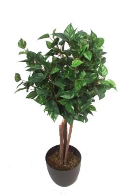 Arbol de pothos mini bola - 120cm