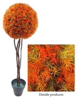 ARB.BOLA TRENZ.SPRINGERI NRJA.Ø60X180cm