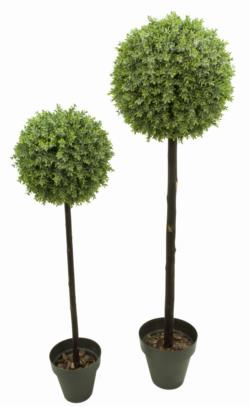 ARB.BOLA TE GRIS 1TR.Ø35x120cm.