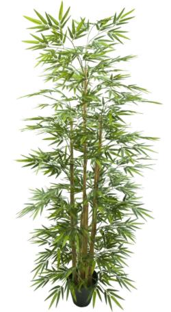 Bambu Decora redondo natural - 180cm