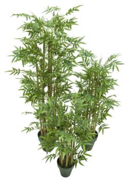 BAMBU JAPONES REDONDOx524HJx60cm.