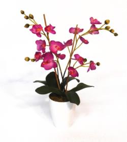 B/BL Orquidea lila - Ø13x55cm