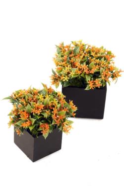 Black Box flor silv. naranja 8x8x14cm.