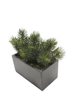 B/NG.PINO PICEA 30x13x21cm.