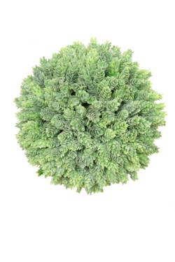BOLA CACTUS PIÑA/LUPULOØ85CM.
