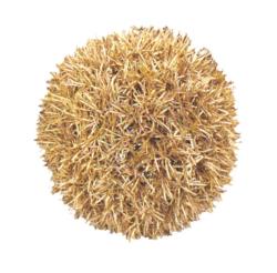 BOLA SPRINGERI ORO Ø45cm
