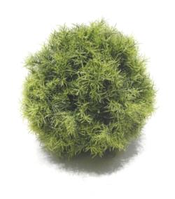 BOLA SPRINGERI VERDE Ø45CM