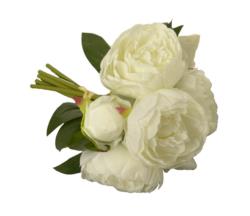 Bouquet de peonias 7 flores crema - Ø20x28cm