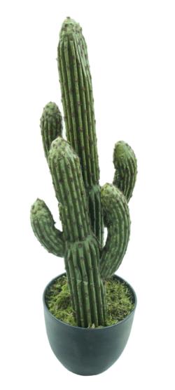 CACTUS FINGERx4TALLOSx60cm.
