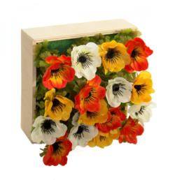 CONCOBOX AMAPOLA CR/AMA/NRJ.20x20x12cm.NAT
