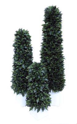 Cono de laurel base de DM blanco - Ø55cm