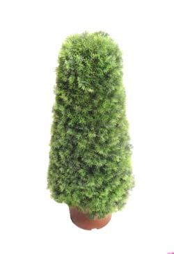 Cono de pino - 50cm