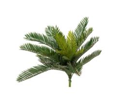 CYCA VERDE PLASTICOx20HJ. Ø60x45cm.