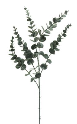 Eucaliptus gris - 76cm