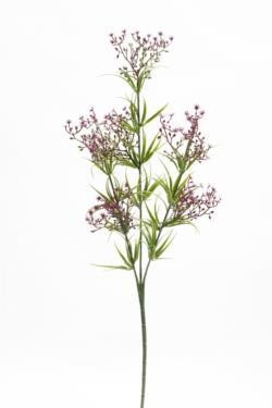 Gipsofila silvestre morada - 65cm