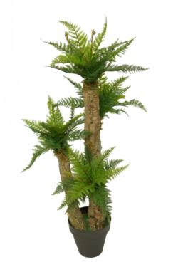 Helecho Arboreo tronco rustico - 100cm