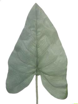 Hoja de cala gris flocada - 50cm