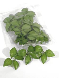 Hojas de jazmin (Bolsa 30 Und)