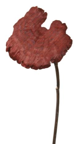 Hongo otoñal burdeos XL - Ø17x55cm