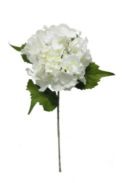 Hortensia Velvet crema - Ø15x67cm