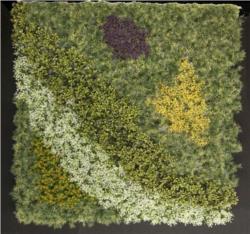 Jardin Vertical 