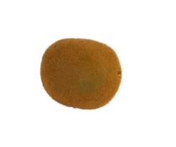 Kiwi con acabado mate - Ø5x6cm