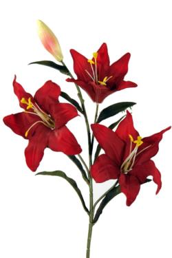 Lilium Velvet rojo - 75cm