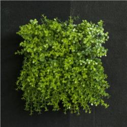 Loseta de Eucaliptus mini plastico - 24x24x10cm