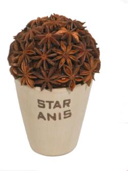 Maceta con anís estrellado - Ø10x16cm