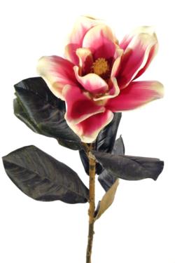 Magnolia malva - Ø15x78cm