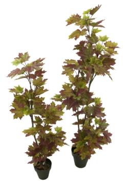 MAPLE CANADA OTOÑALx3Tx114HJx150cm.C/M22