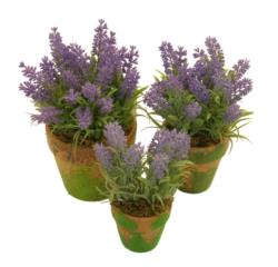 M/MF Lavanda plastico maceta musgo - Ø7x17cm