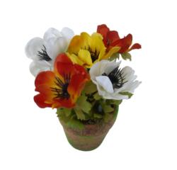 M/MF Amapola naranja maceta musgo - Ø7x17cm