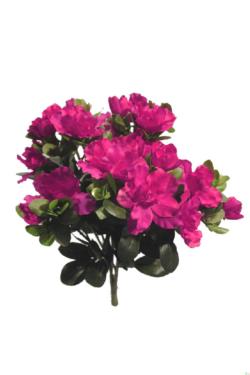 Azalea fucsia - 33cm