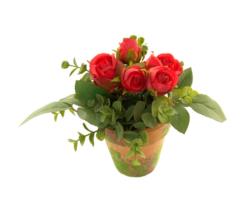 M/MF Rosa roja+eucaliptus maceta musgo - Ø9x20cm