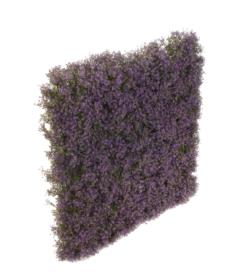 Mural de gipsofila morada - 65x65x12cm